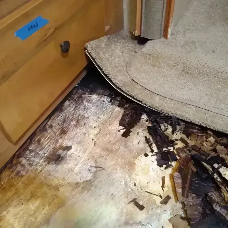 Best Wood Floor Water Damage Service in Inman Mills, SC